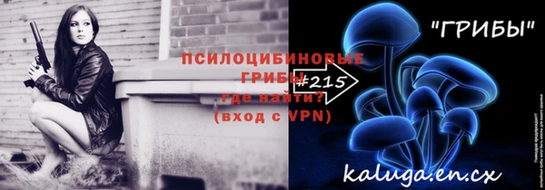 соль ск Навашино