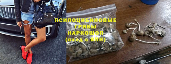 соль ск Навашино
