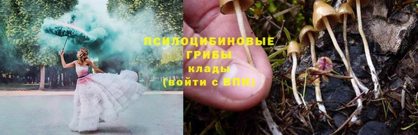 соль ск Навашино