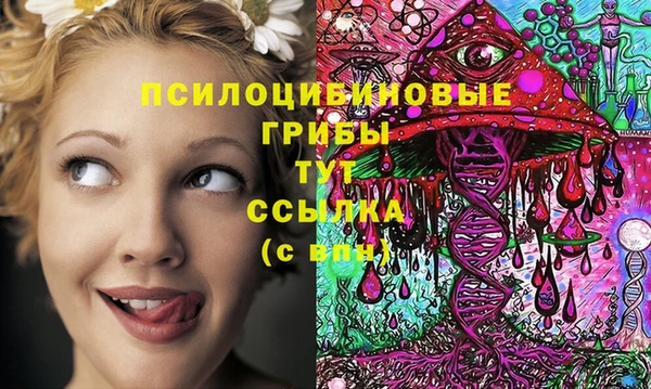 MESCALINE Надым